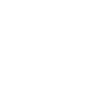 OFFICIAL TIKTOK